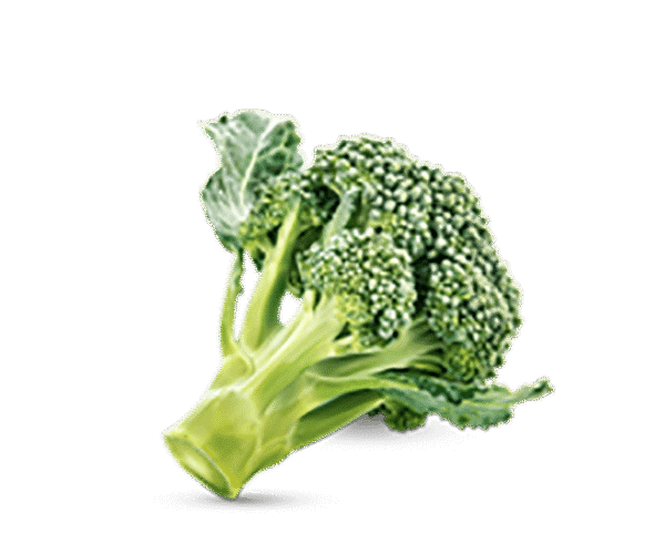 h3-product11 h3-product11