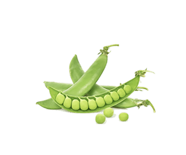 h3-product7 h3-product7