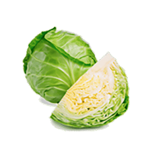 Organic Cabbage