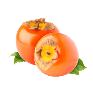 Fresh Persimmon